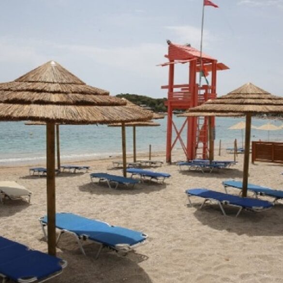 ΔΙΜΕΑ: Αυξάνονται οι έλεγχοι για το Δεκαπενταύγουστο – Καύσιμα, κυλικεία και ξαπλώστρες στο στόχαστρο