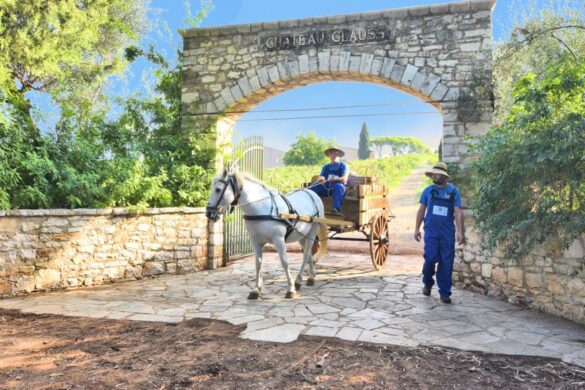 Η Ιστορική Οινοποιία Αchaia Clauss: Ένα ταξίδι 161 ετών στη γεύση του Ελληνικού Οίνου