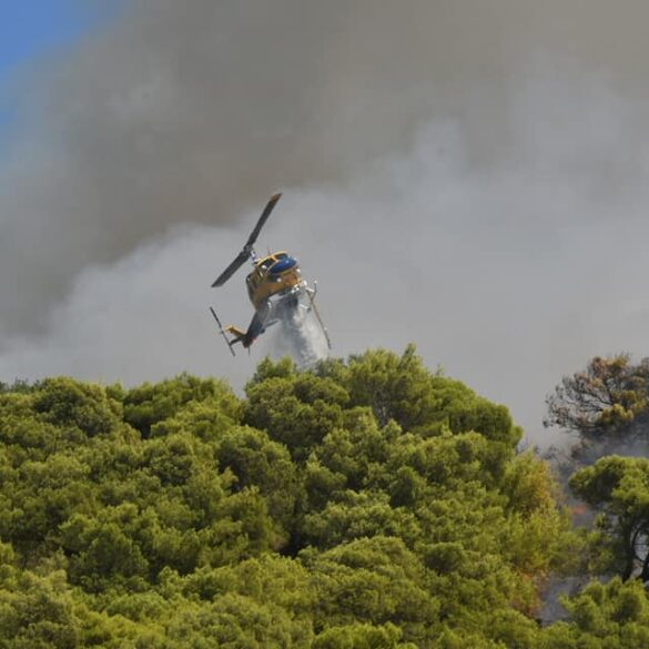 Πυρκαγιά στην Καλλιθέα: Η κάπνα έχει «τυλίξει» την Πάτρα