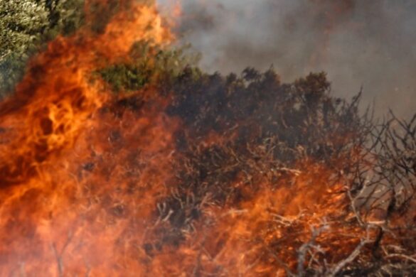 Hλεία: Κάτι περίεργο συμβαίνει με τις φωτιές