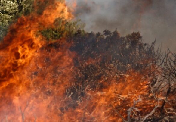Ηλεία: Οριοθετημένη η φωτιά στο Μουζάκι Πύργου