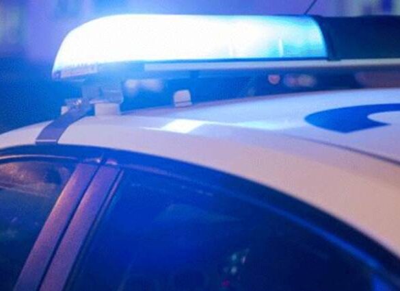 Συνελήφθησαν δώδεκα άτομα στο Αιτωλικό για κλοπή βρώσιμων ελιών