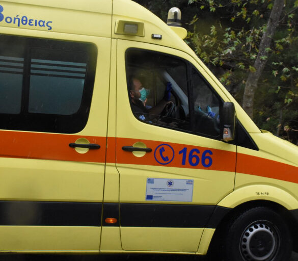 Κεφαλονιά: Οχιά δάγκωσε τουρίστρια και κινδύνευσε η ζωή της