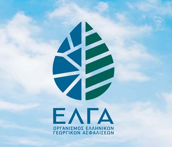 Νέες ζημιές από χαλαζοπτώσεις χωρίς αντιχαλαζική προστασία άφησε τις καλλιέργειες ο ΕΛΓΑ