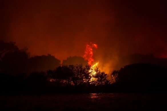 Μελέτη: Η κλιματική αλλαγή θα αυξήσει τα επόμενα χρόνια τις δασικές πυρκαγιές παγκοσμίως, ιδίως στη Μεσόγειο