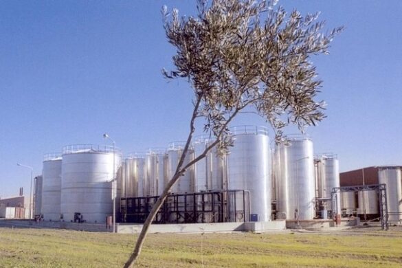 ΜΙΝΕΡΒΑ: Αύξηση πωλήσεων το 2023 – Συνεχίζεται το επενδυτικό πρόγραμμα