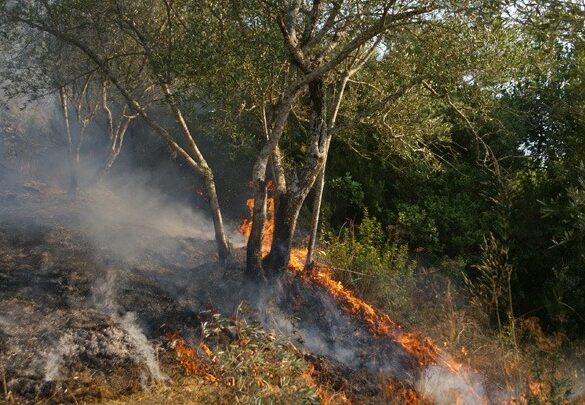 Πυρκαγιά σε χαμηλή βλάστηση στον Ταύρο Αττικής
