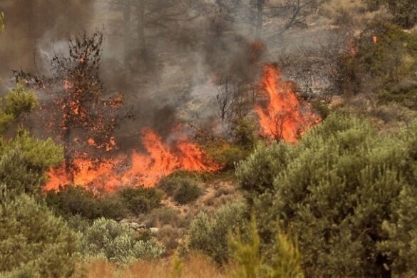 Πυρκαγιά στο Καπανδρίτι Αττικής