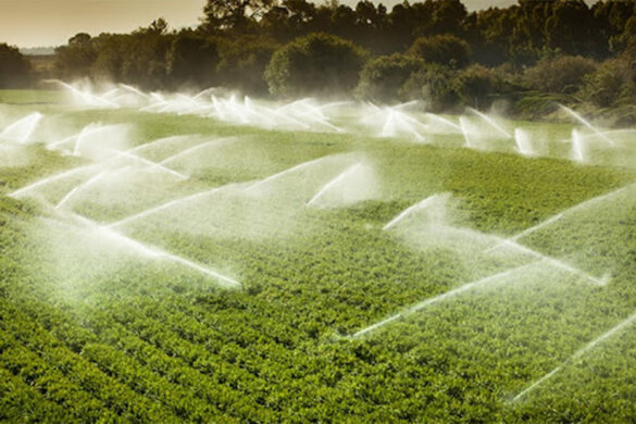 Με ΣΔΙΤ αρδευτικά έργα ενός δισ. ευρώ για καλλιέργειες της χώρας