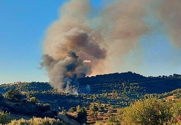 Σε εξέλιξη η φωτιά στην περιοχή Κορακιά Κρανιδίου – Επιχειρούν και εναέρια μέσα